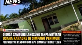 Oplus_16908288